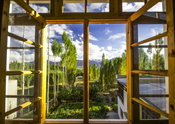 Wood Window Replacement in Pasadena